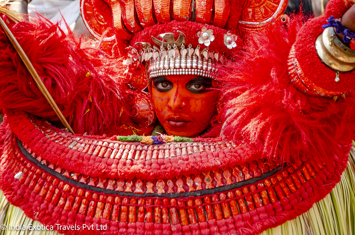 India Exotica india-exotica